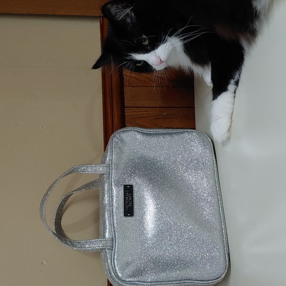 Victoria's Secret Silver Glitter Large Travel Bag